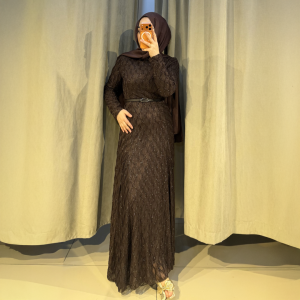 Kemer Detaylı Simli Elbise